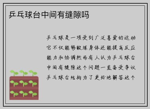 乒乓球台中间有缝隙吗