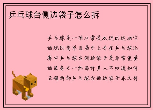 乒乓球台侧边袋子怎么拆