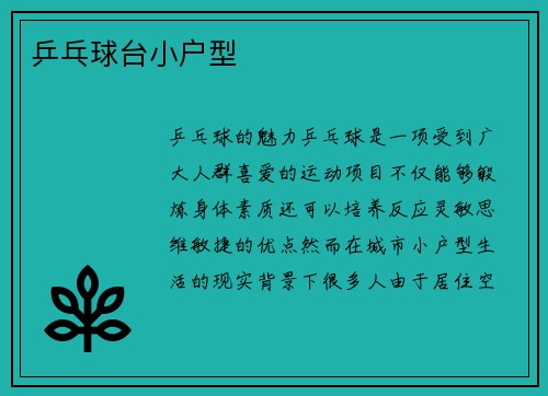 乒乓球台小户型