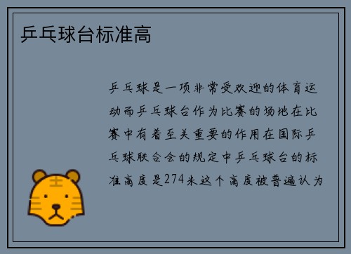乒乓球台标准高
